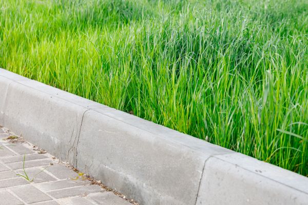 Concrete Curb Repair in Merced